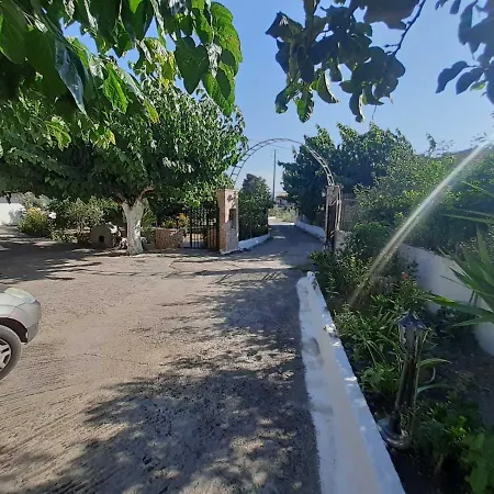 Glyfada's Family * Glyfada (Phocis)