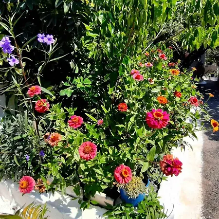 Apartment Glyfada's Family