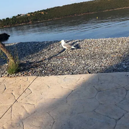 Glyfada's Family * Glyfada (Phocis)